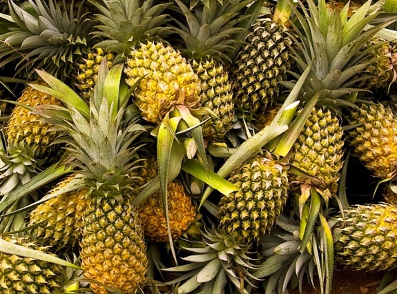 vietnam queen pineapple